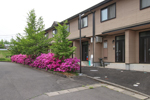sakuragaikan